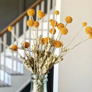 23" Fall Wind Dancer Bush, Mustard