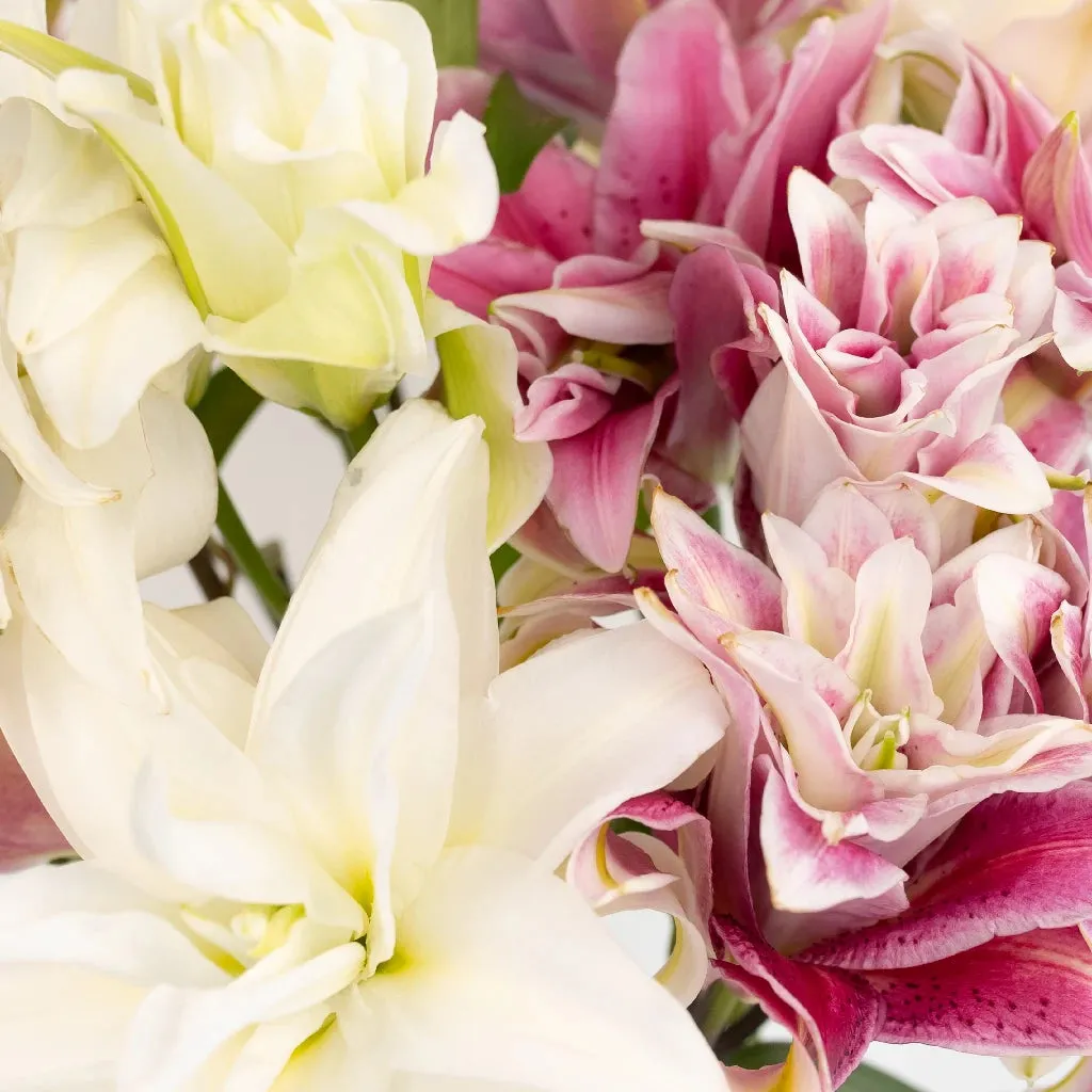 Assorted Rose Lily