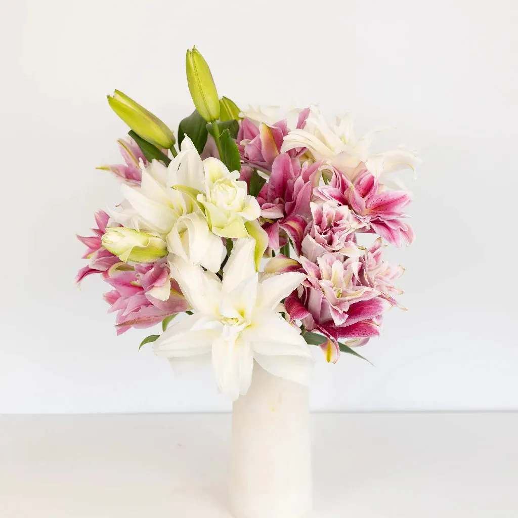 Assorted Rose Lily