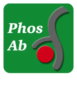 ATM (Ser-794), phospho-specific Antibody
