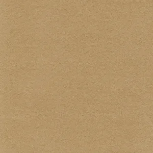 Camel Lightweight Cotton Moleskin