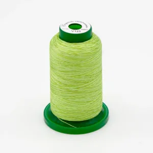 Exquisite Medley Variegated Thread - Meadow 1000M V125