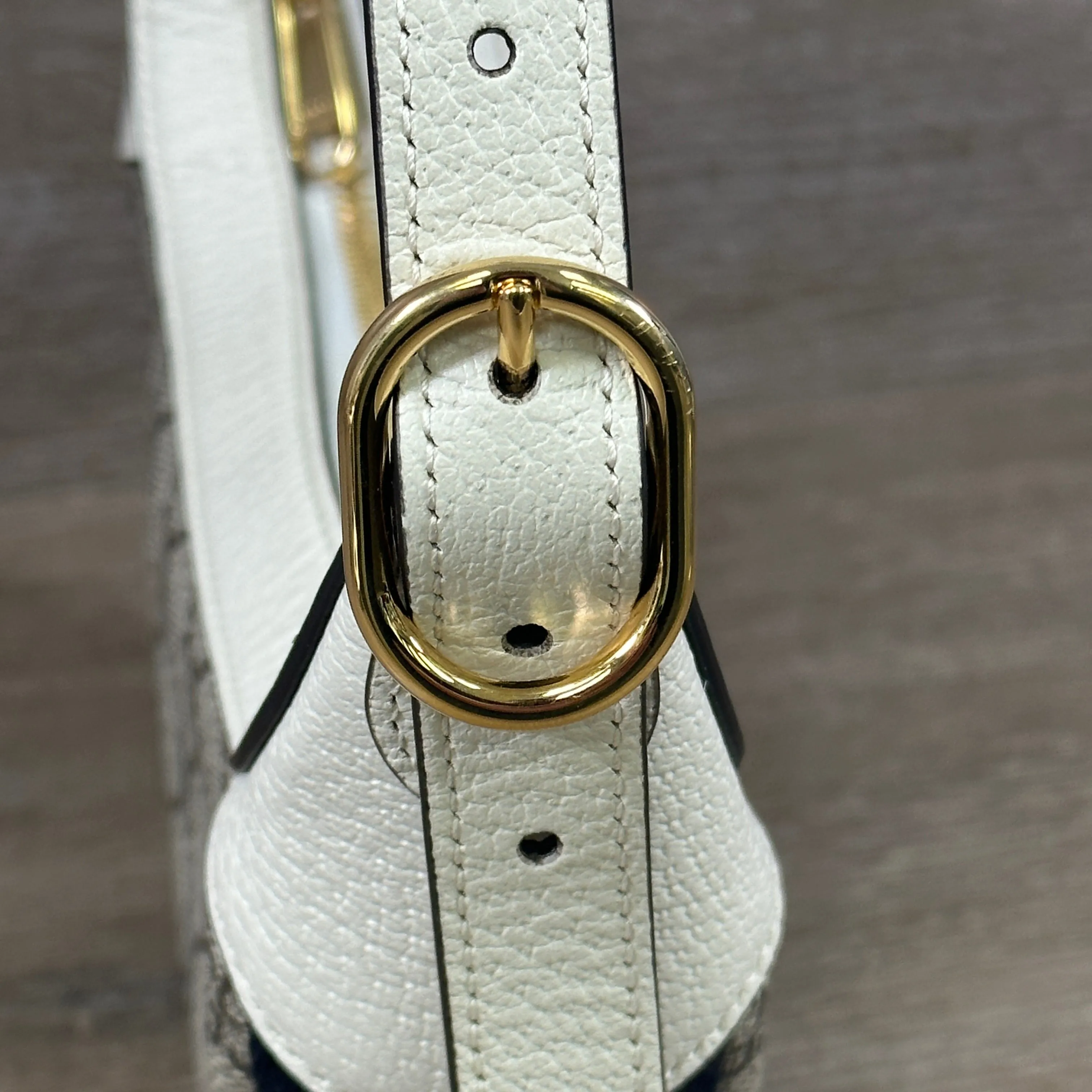 Gucci GG Ophidia Mini Bag