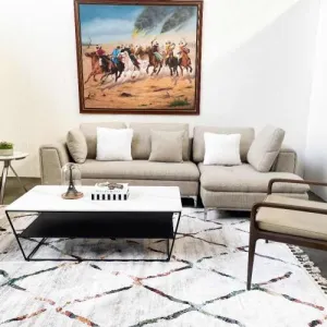 Life L-Shaped Sofa(Sofa only)