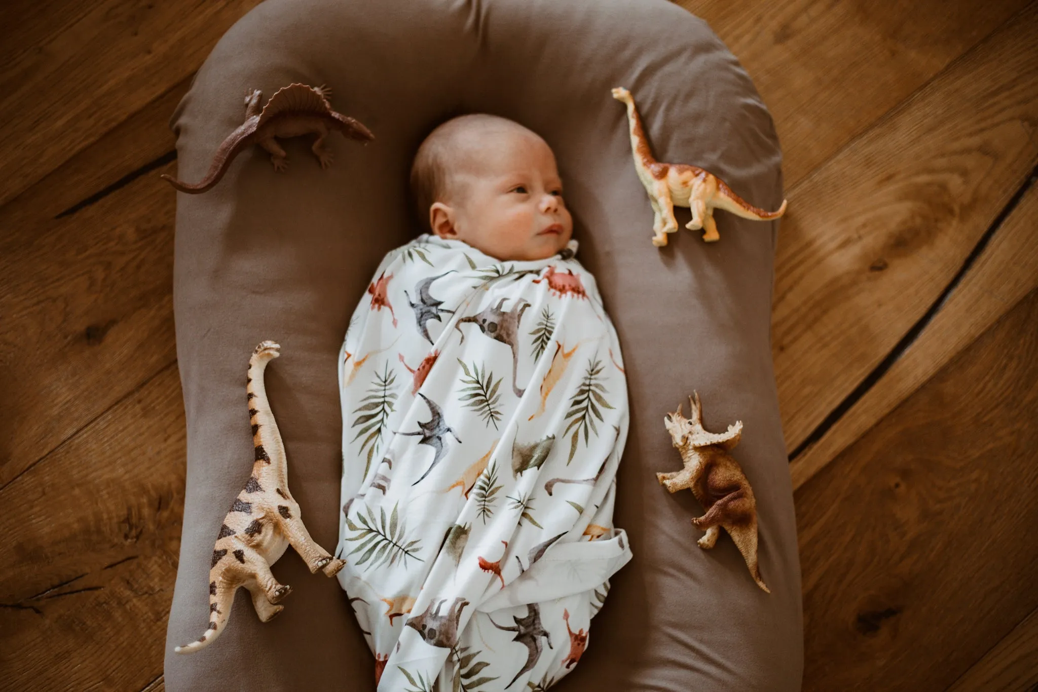 Lightweight Swaddle Blanket - Dinos