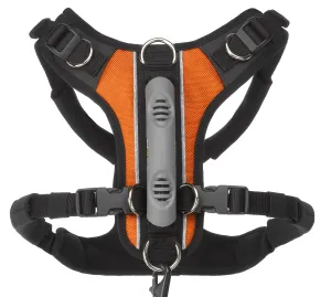 Medium Front