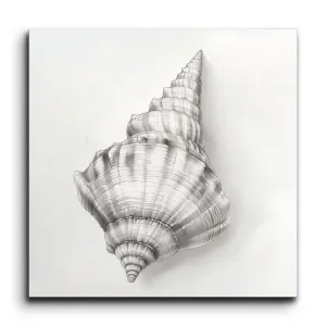 Monochrome Seashell: Detailed Grayscale Art