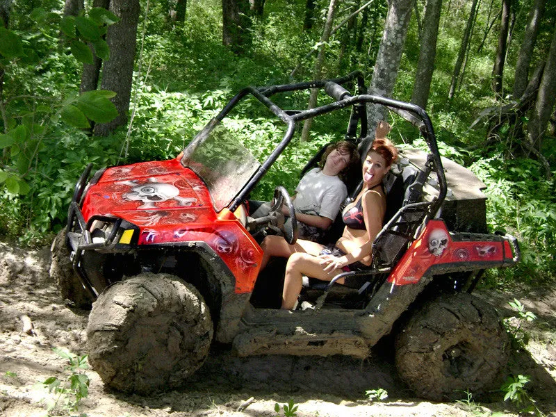 Polaris RZR 800 Graphics (2011-2014)