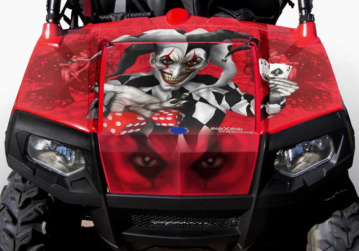 Polaris RZR 800 Graphics (2011-2014)