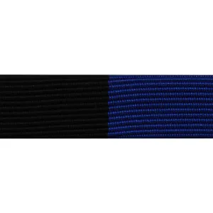 Ribbon Unit #3270