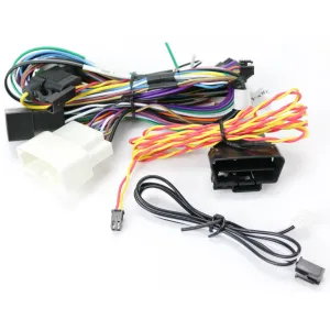 Rockford Fosgate HRN-AR-CH2