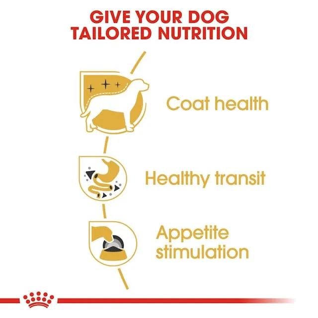 Royal Canin | Breed Health Nutrition | Wet Dog Food Pouch | Chihuahua Adult - 85g