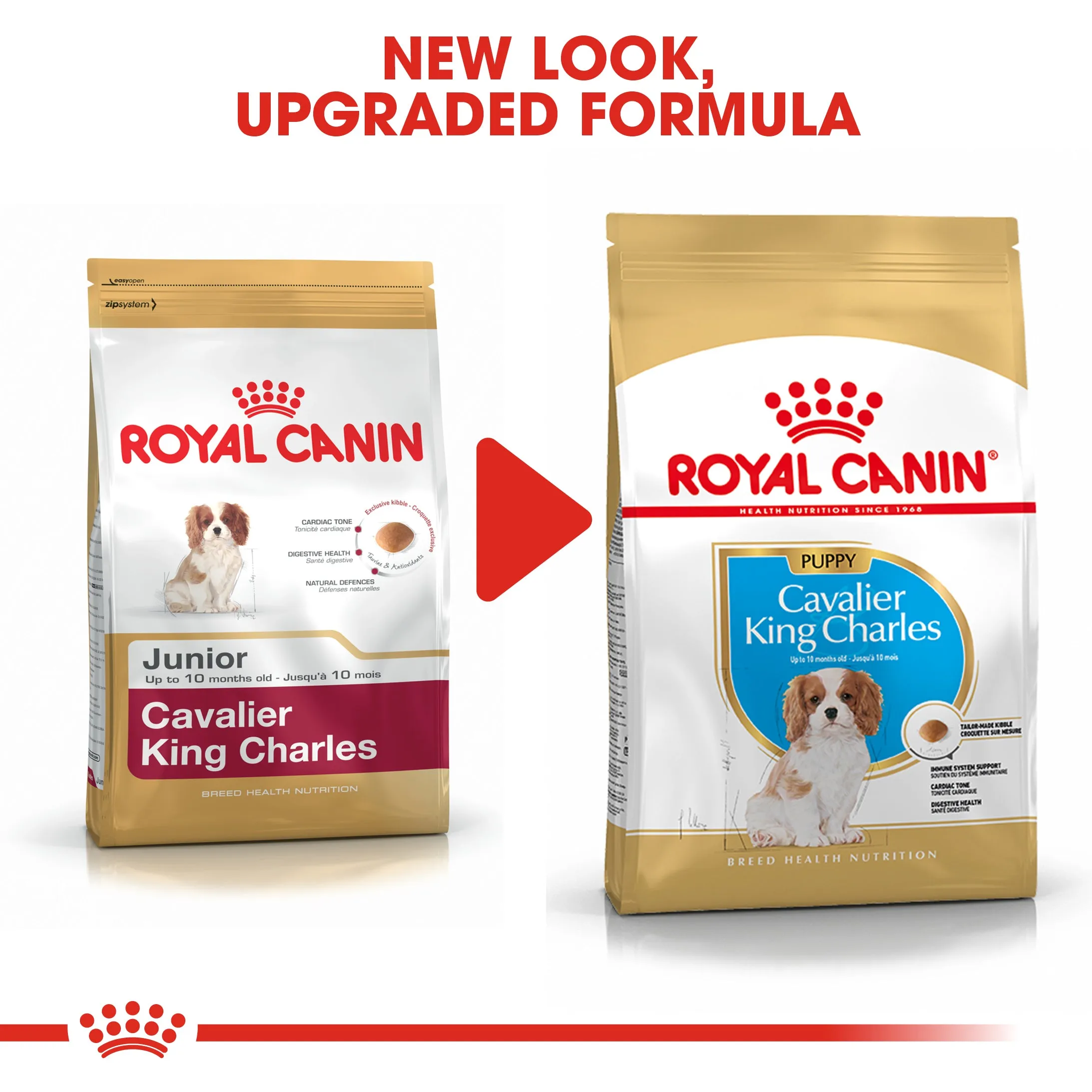 Royal Canin Cavalier King Charles Puppy 1.5kg