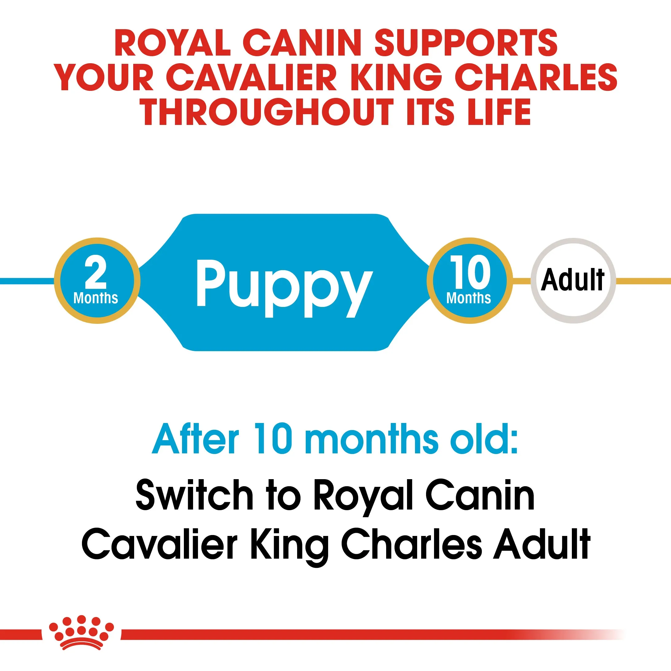 Royal Canin Cavalier King Charles Puppy 1.5kg