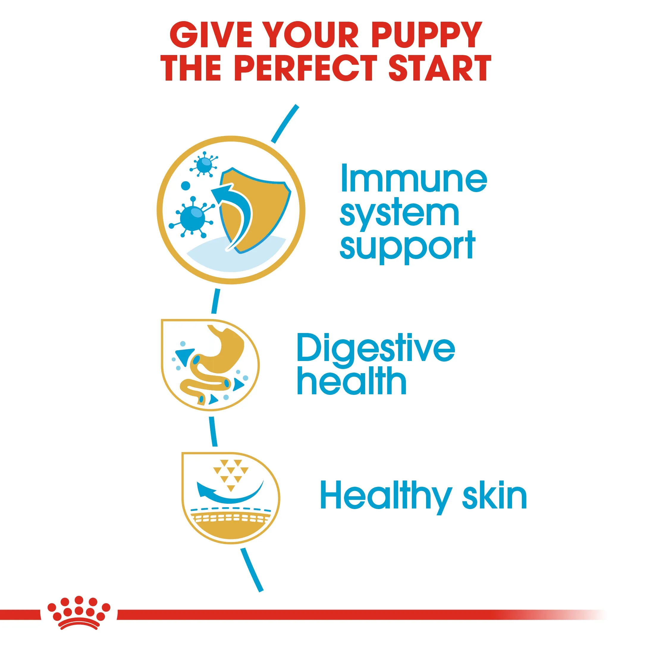 Royal Canin - French Bulldog - Puppy