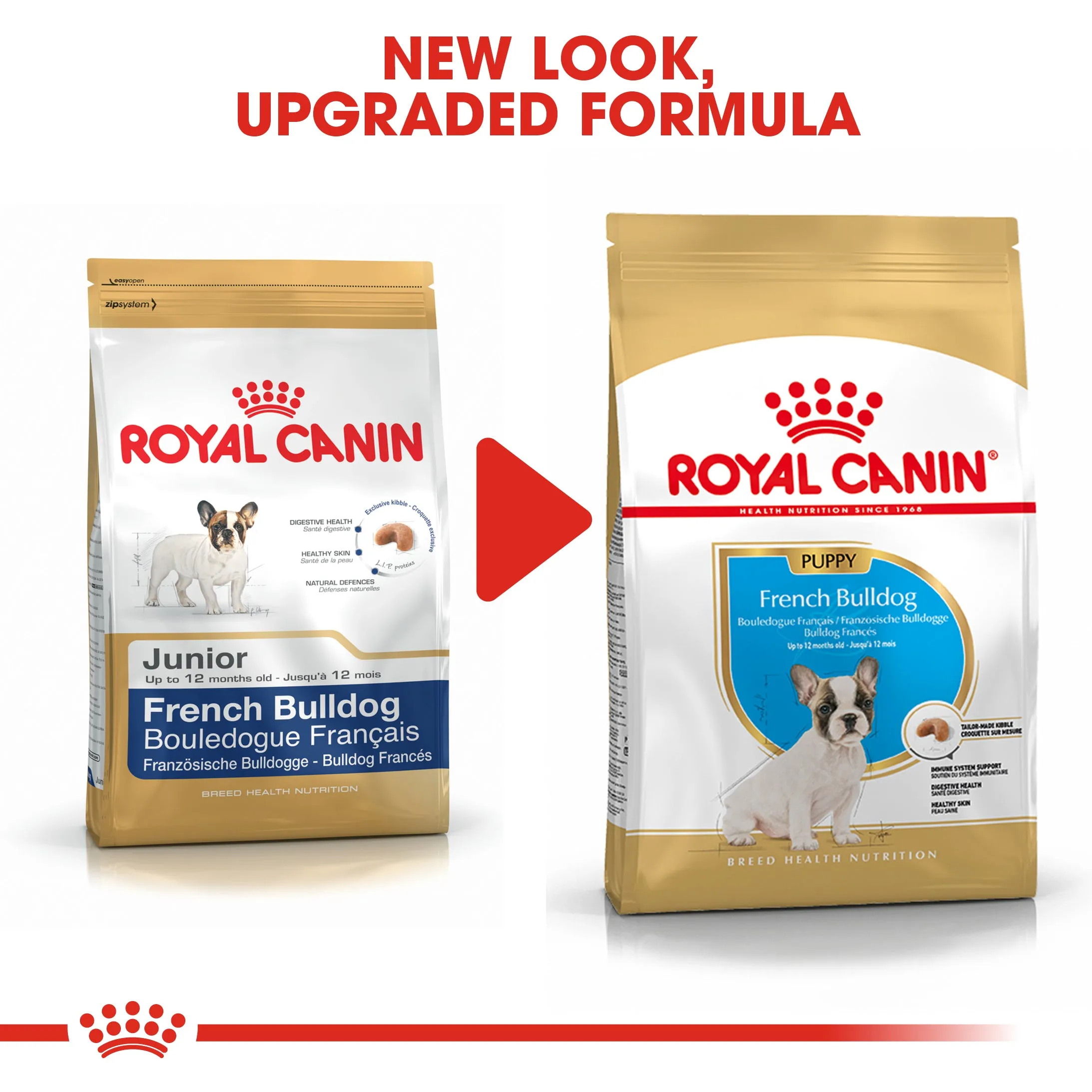 Royal Canin - French Bulldog - Puppy