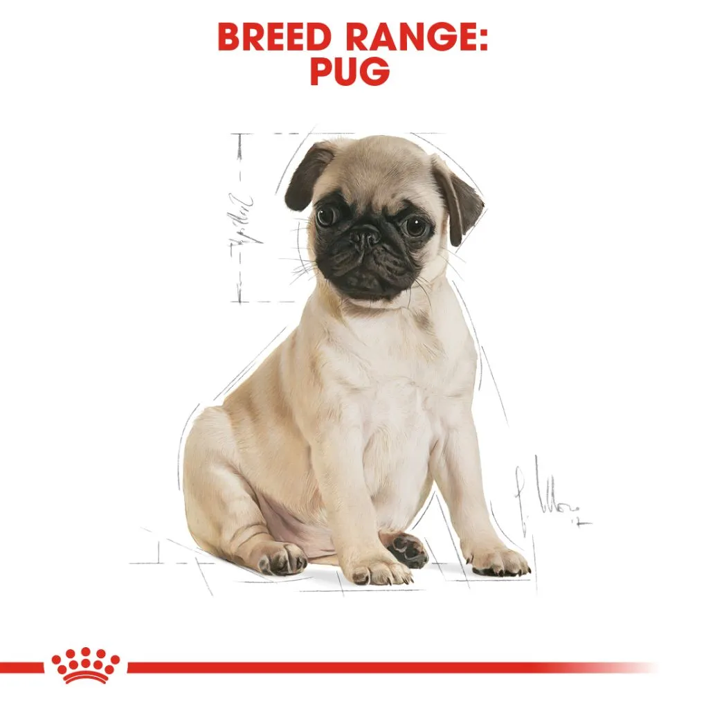 Royal Canin Pug Puppy 1.5kg