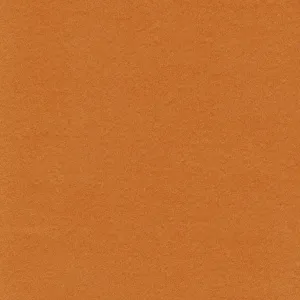 Rust Lightweight Cotton Moleskin