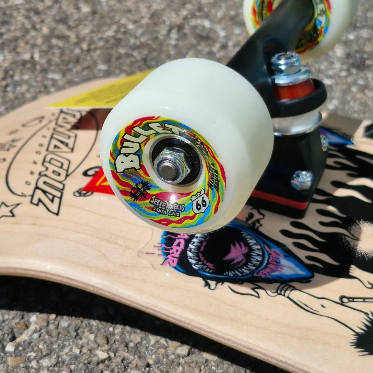Santa Cruz Thrasher Salba Cover Complete
