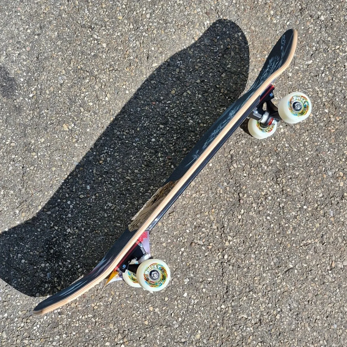 Santa Cruz Thrasher Salba Cover Complete