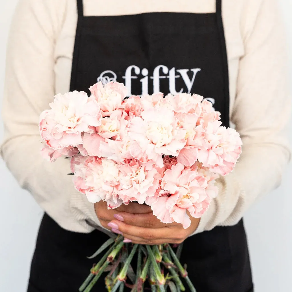 Soft Salmon Carnation Flowers
