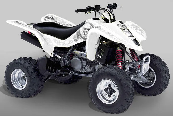 Suzuki LTZ 400 Graphics (2003-2008)