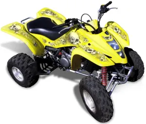 Suzuki LTZ 400 Graphics (2003-2008)