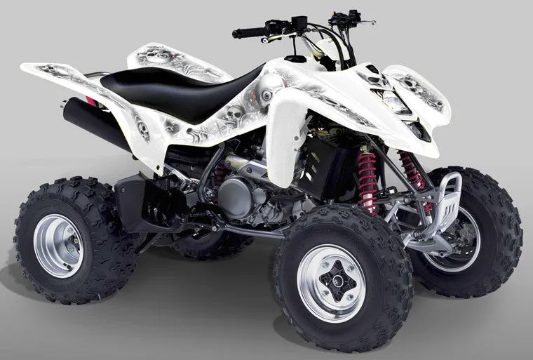 Suzuki LTZ 400 Graphics (2003-2008)