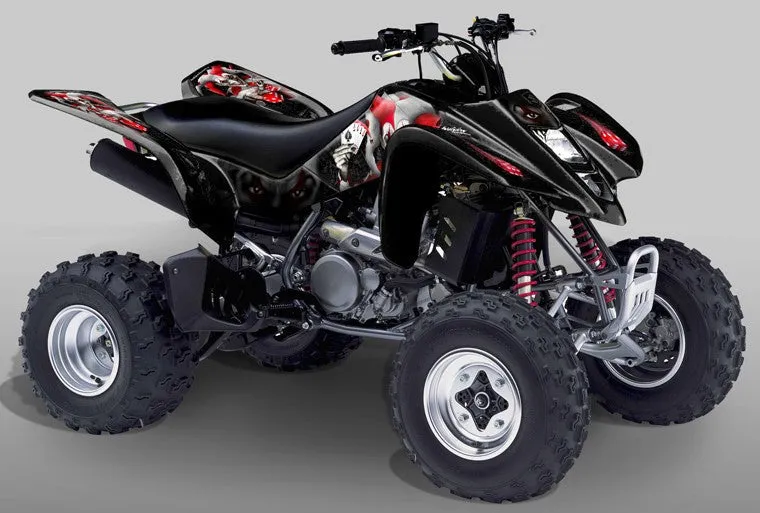 Suzuki LTZ 400 Graphics (2003-2008)