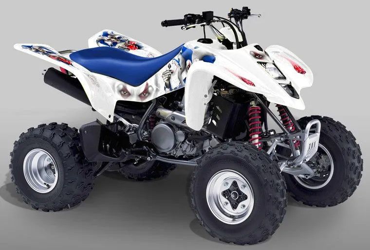 Suzuki LTZ 400 Graphics (2003-2008)