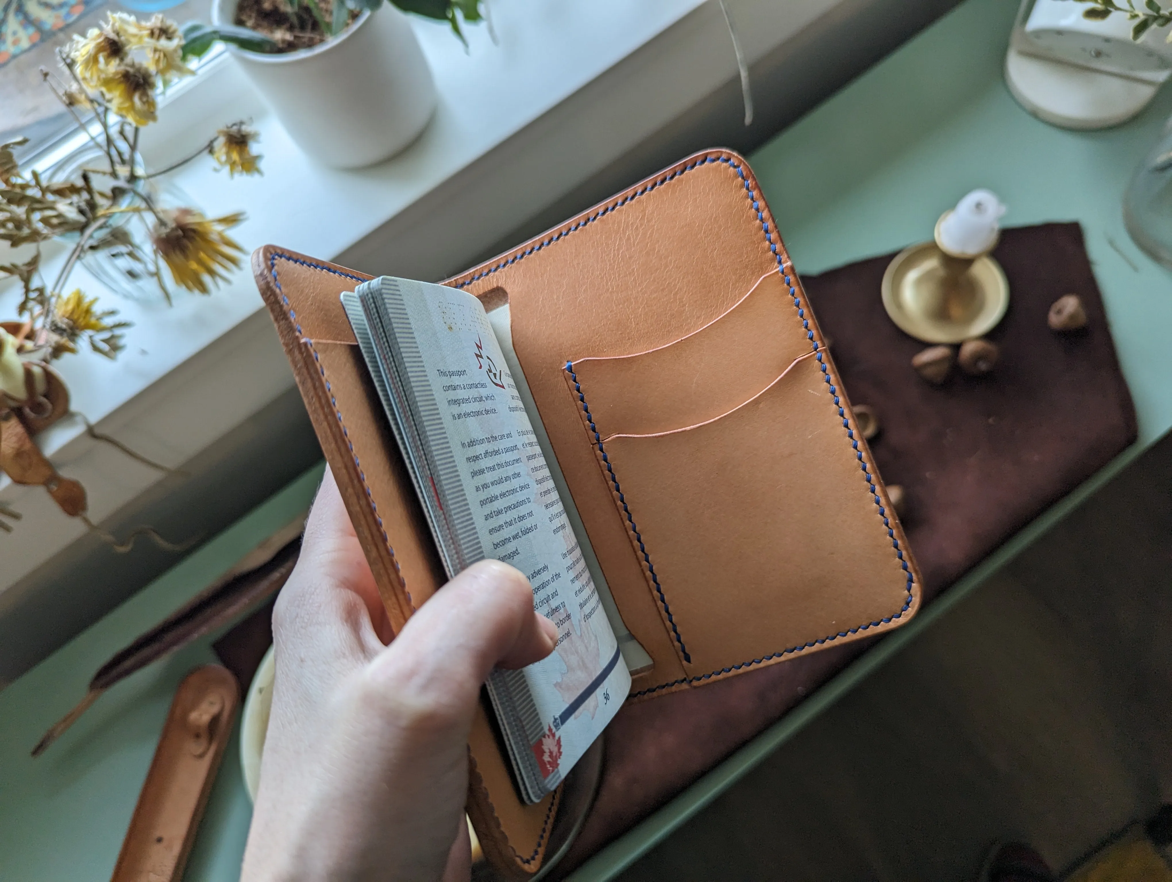 The Passport Holder