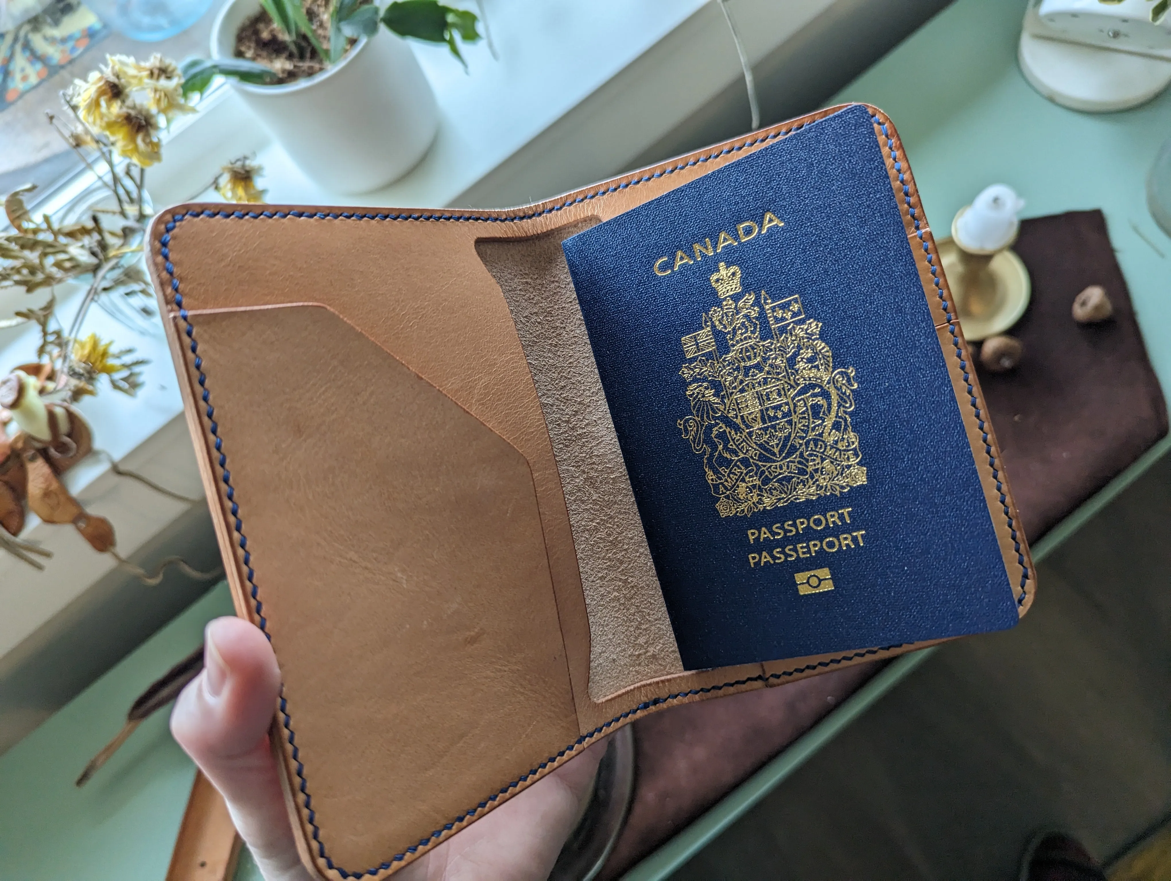 The Passport Holder