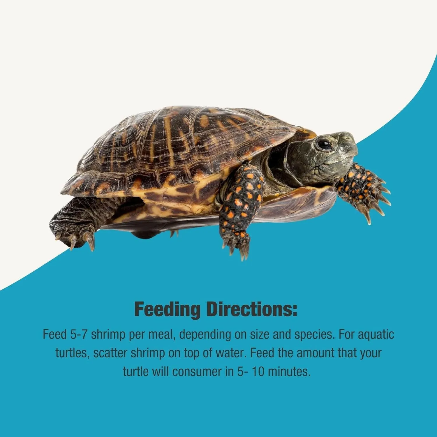 Turtle Treat - Freshwater River Shrimp - 12oz