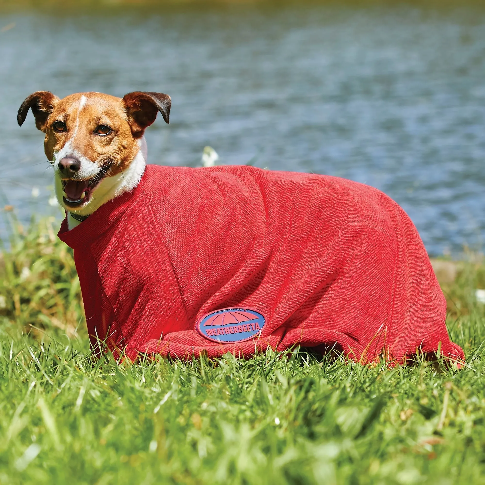 Weatherbeeta Comfitec Dry-Dog Bag