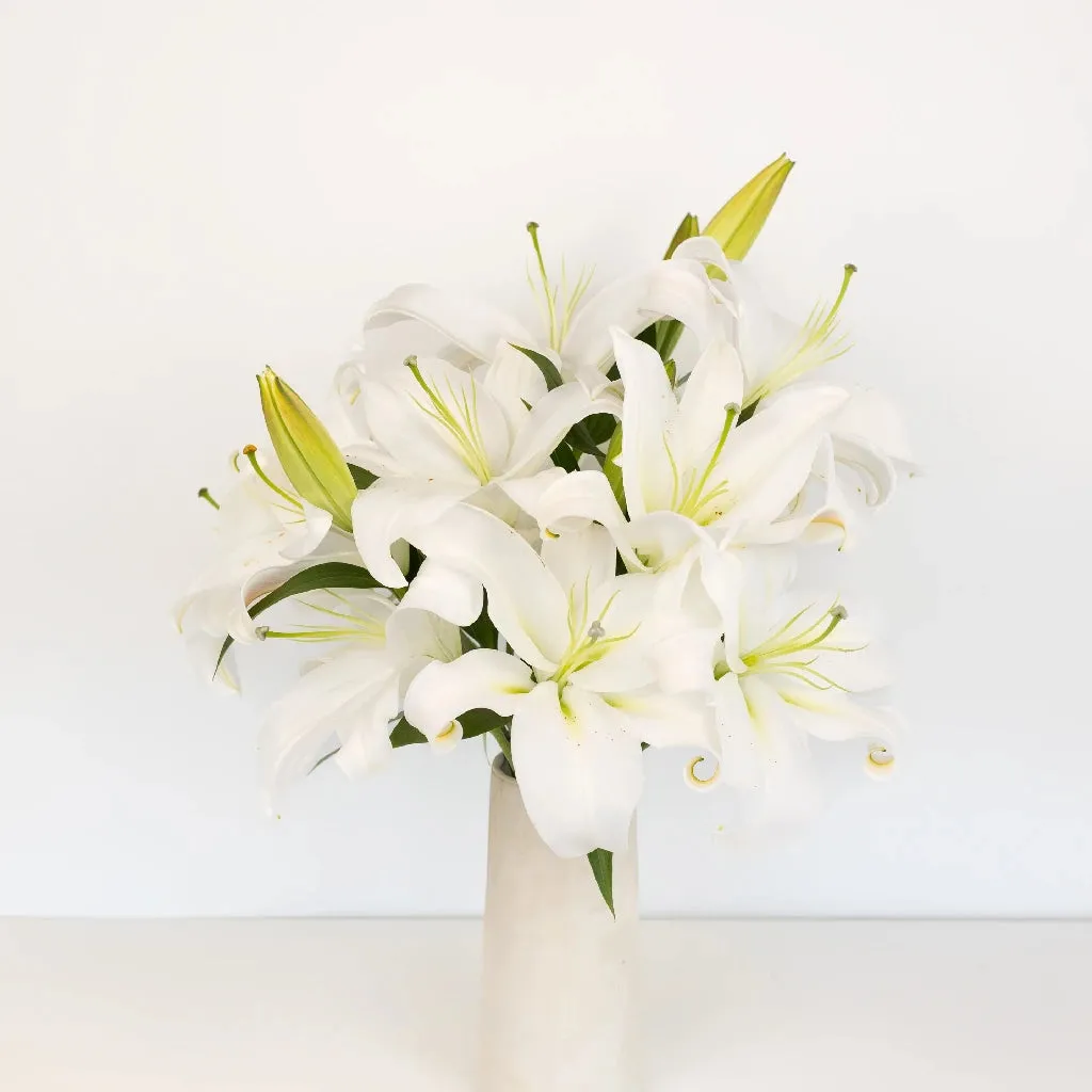 White Oriental Lilies
