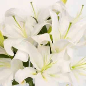 White Oriental Lilies
